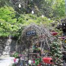 라이브풍경민박 이미지