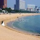 해운대해수욕장 2호 이미지