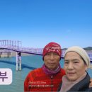 섬마을농수산물
