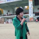 정선공설운동장 이미지