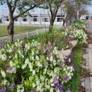 당진종합운동장 테니스장 이미지