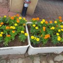 도림어울림센터 이미지