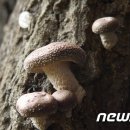 은산유통 이미지