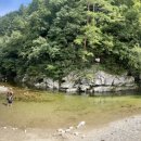 솔봉펜션 이미지