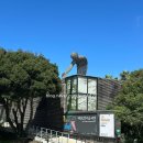 개와고양이 | 제주도 전시 추천 제주현대미술관 [개와 고양이의 시간] 관람 후기