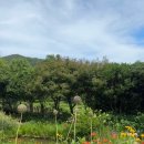 설천면110 이미지