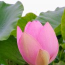 삼주세탁소 이미지