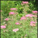 고암농장 이미지