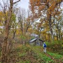2026년 10월 17일 - Buck Hollow &amp; Buck Ridge Trail (Byrd's Nest #3 Shelter) 이미지