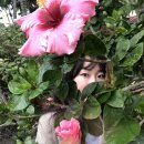 사석농장 이미지