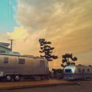 더 스트림 이미지