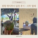 사막 현지 단독투어💛 호아 드라이버🩷 핑크 지프투어(2) 일정 후기, 코코넛휴게소, 지프투어, 판랑...