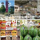 9번청과 이미지