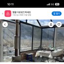 품안애stay