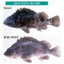 레인저피싱