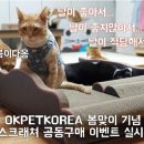 오케이펫