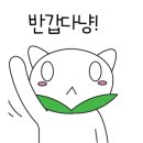 냐옹이네꽃집 이미지