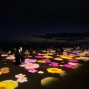 속초해변(남문) 이미지