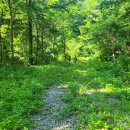 괘병산 트레킹 이미지