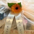 생생청과야채