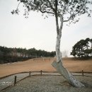 [예산여행] 추사 김정희고택과 추사기념관 1/2