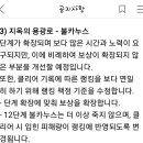 오늘도 코그가 코그했다. 이미지