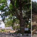 정몽주로 이미지