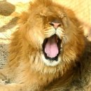 쌍둥농장 이미지