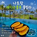 미미스넥 | 나트랑 래디슨 블루 리조트 깜란 풀빌라