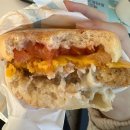 [dAily] 잘했어 치타!