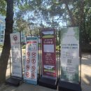 강남-137 | [서울 강남] 서울 가볼만한 곳 - 선정릉, 선릉과 정릉 방문후기, 유네스코 세계문화유산