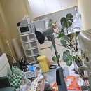 가장 쉬운 터키어 첫걸음의 모든 것 | 믿고 맡기는 울산철거 이야기 내 공간 변화의 첫걸음
