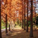 나주자원 이미지