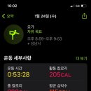 요가 저녁반 이미지