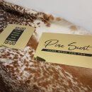 파인센트(pine scent)