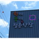 달성군여행 - 현풍백년도깨비시장이야기
