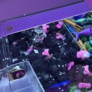 어울림뽑기방 이미지