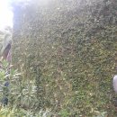 분재공원 화장실 이미지