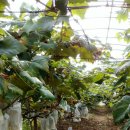 가현농장 이미지