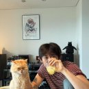 달달시루 - 청주시 흥덕구 서경로24번길 5 | 달달시루