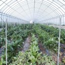 농사체험야영장 이미지