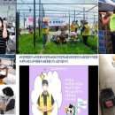 장애인친구샘터뭉침회 이미지