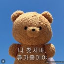 S.J팜스 | [보홀1~2일차] :: 나팔링정어리떼 / 난파경비행기포인트 / 프리다이브 팡라오리조트 / 할로망고