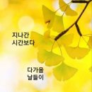 꼬리별 이미지
