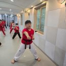 태양태권도장 이미지