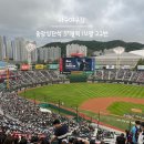 31140-7-57-22 | 사직야구장 중앙상단석 57블럭 14열 22번 시야 후기 | 롯데자이언츠 직관