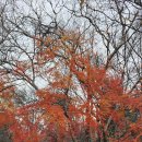 좋은친구들 이미지