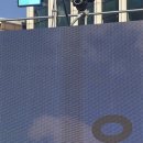 용인대 석사 서울시 대표 태권도 이미지