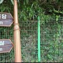 다산초당 | [강진여행] 정약용 유배지 다산초당 후기