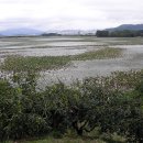 주남저수지 이미지